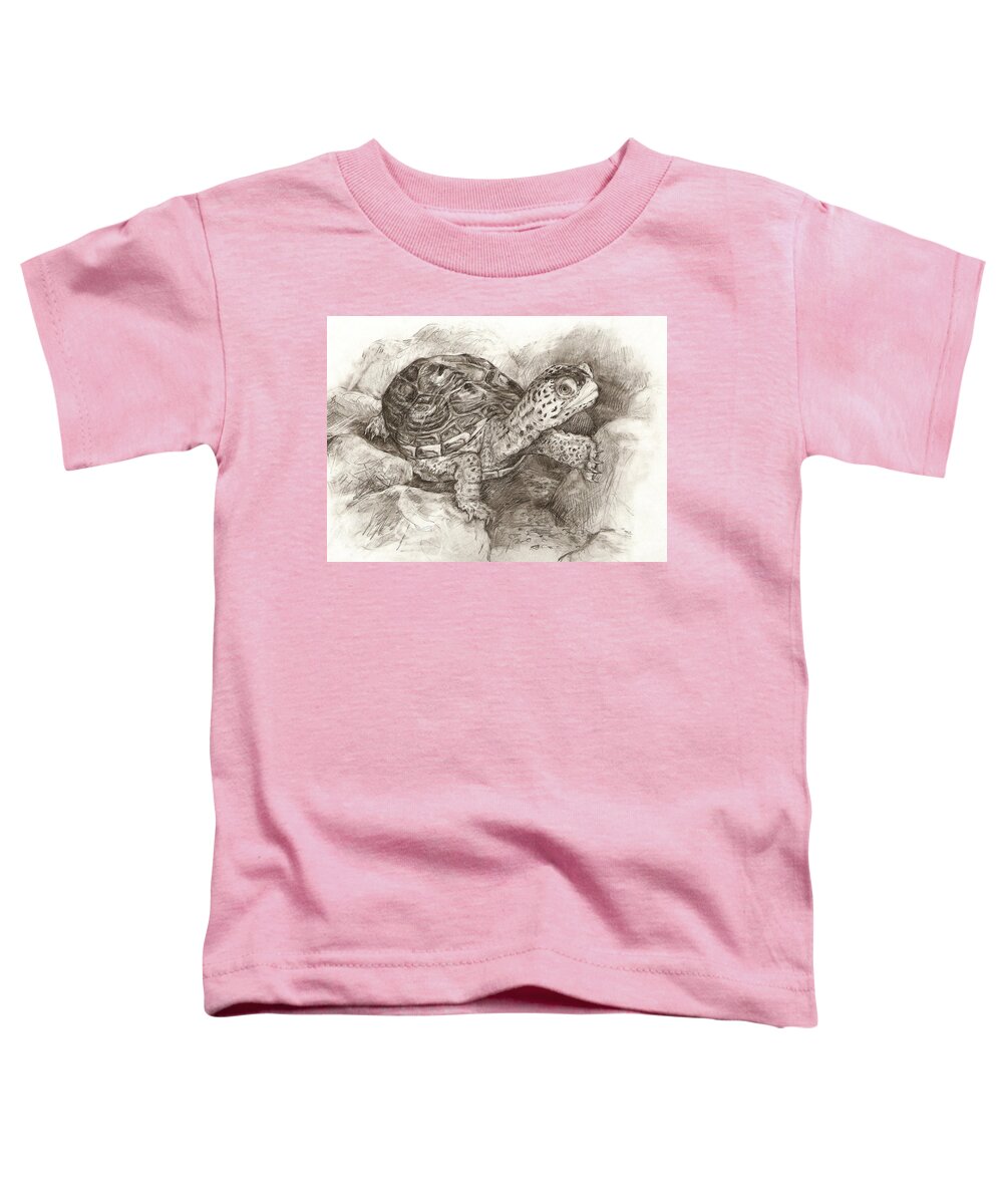 Turtle Toddler T-Shirt featuring the drawing Diamondback Terrapin by Abby McBride
