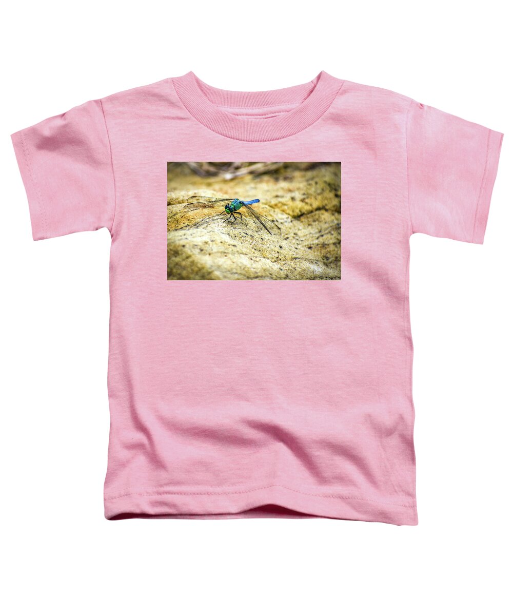 Dragon Fly Toddler T-Shirt featuring the photograph Dragon Fly by Michelle Wittensoldner