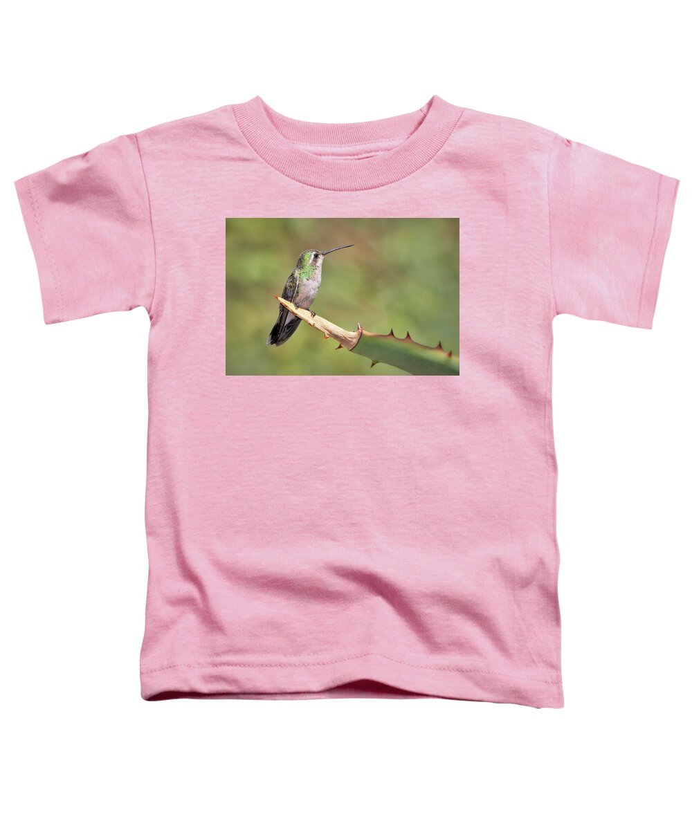 Hummingbirds Toddler T-Shirt featuring the photograph Female Broad Billed Hummingbird by Elaine Malott