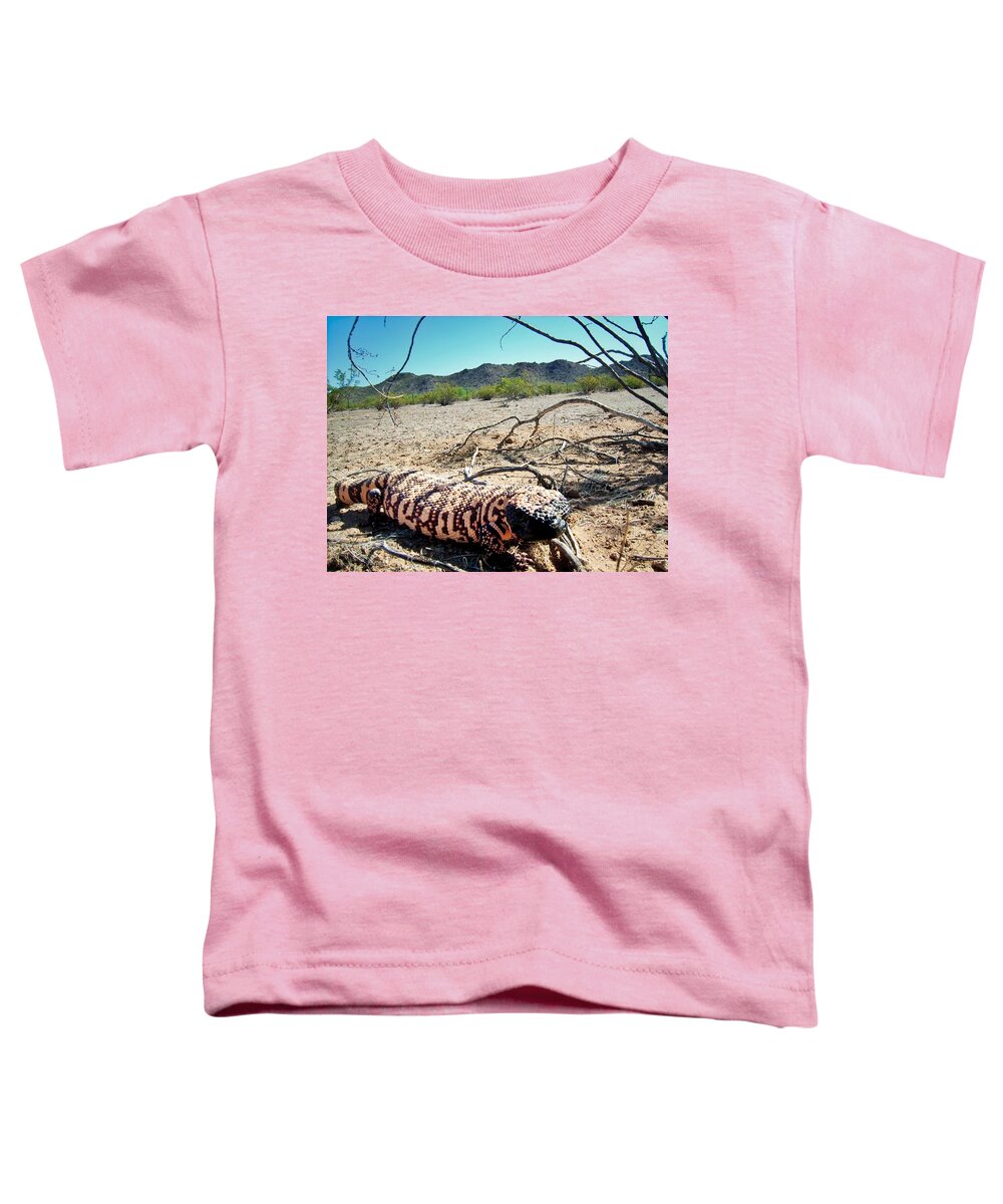 Animals Toddler T-Shirt featuring the photograph Gila Monster in the Arizona Sonoran Desert by Judy Kennedy