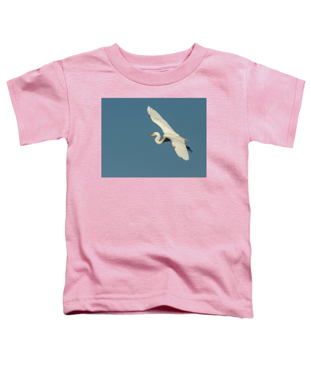 Great Egret Toddler T-Shirt featuring the photograph Great Egret 2014-10 by Thomas Young