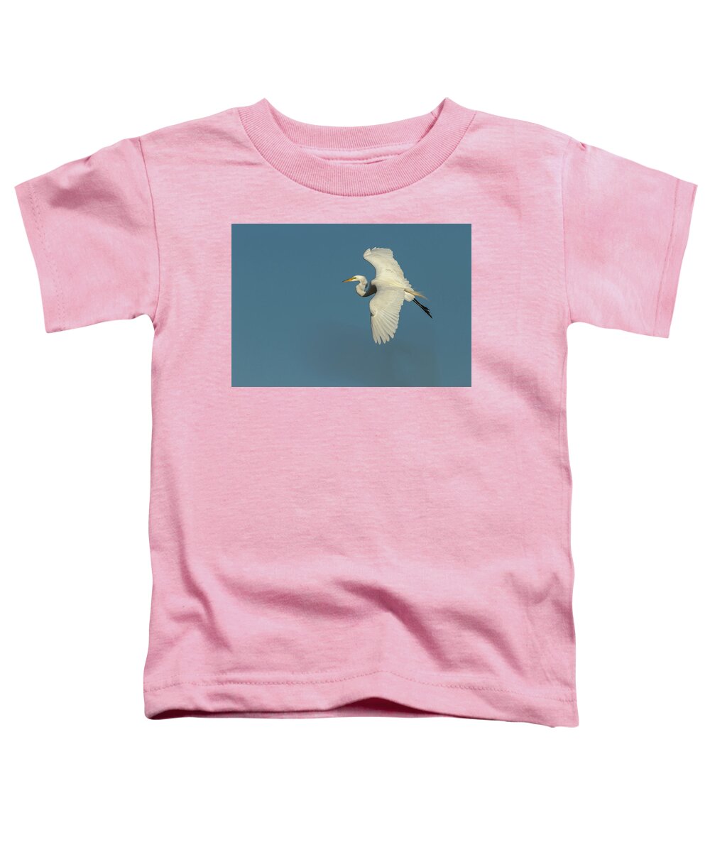 Great Egret Toddler T-Shirt featuring the photograph Great Egret 2014-9 by Thomas Young