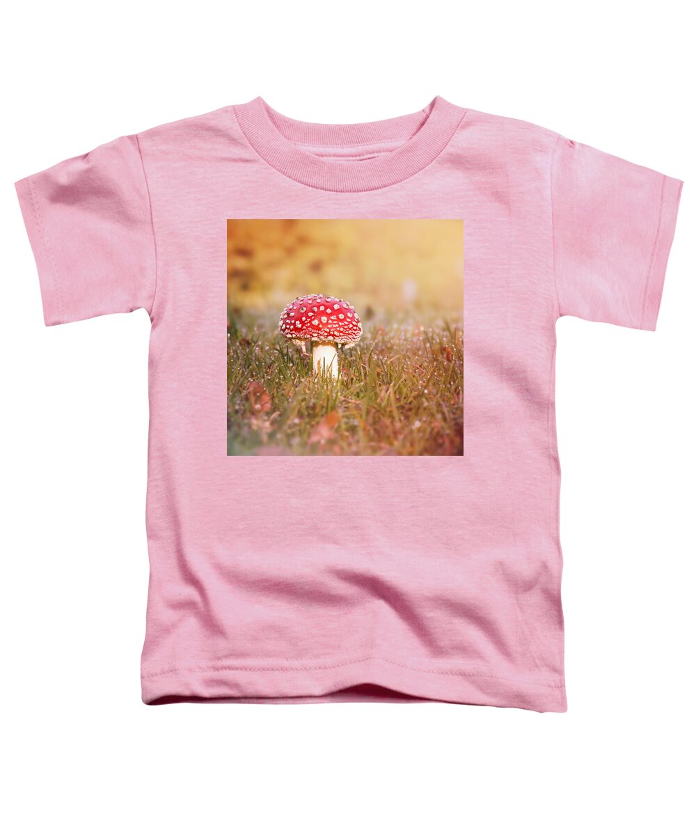 Toadstool Toddler T-Shirt featuring the photograph I know the place by Jaroslav Buna