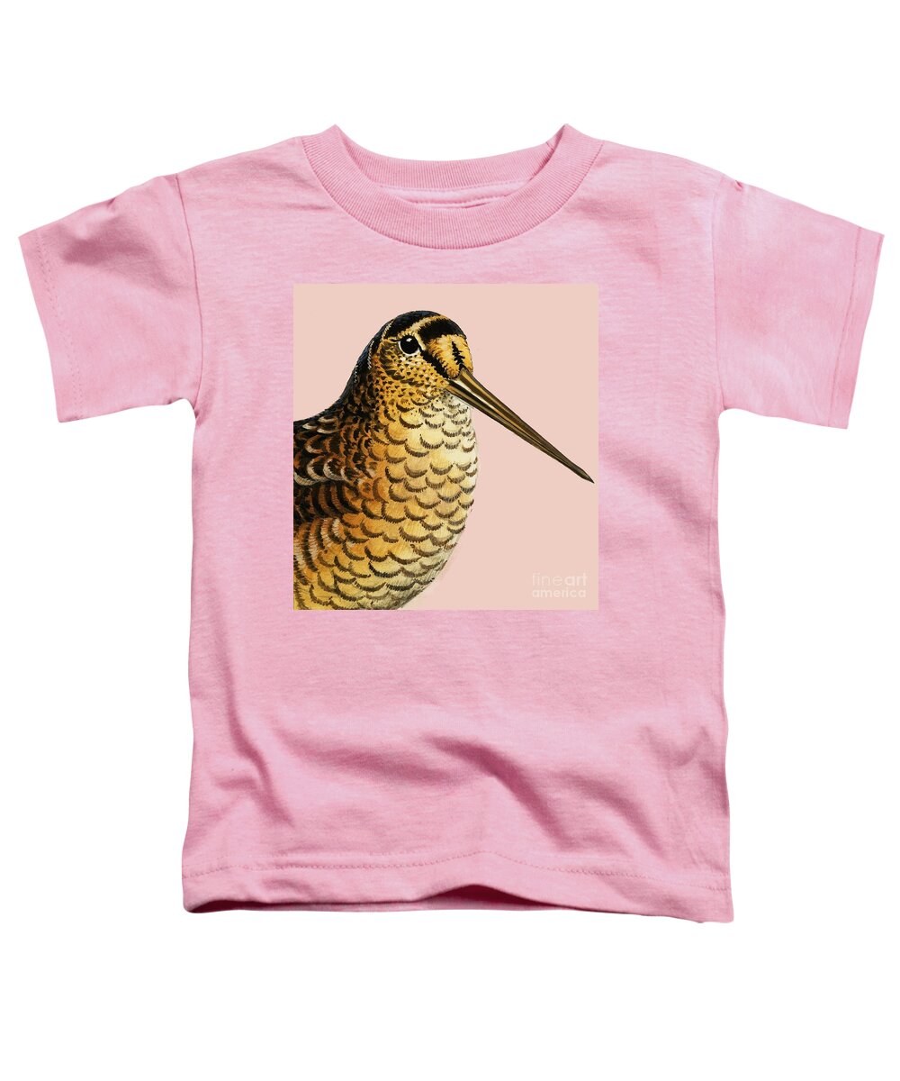 Wildlife Toddler T-Shirt featuring the painting Looking At Nature The Woodcock by Rb Davis