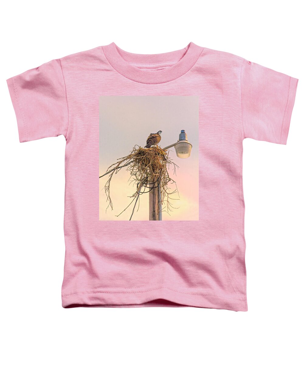 Osprey Toddler T-Shirt featuring the photograph Messy Nest Keeping - Osprey by Mitch Spence