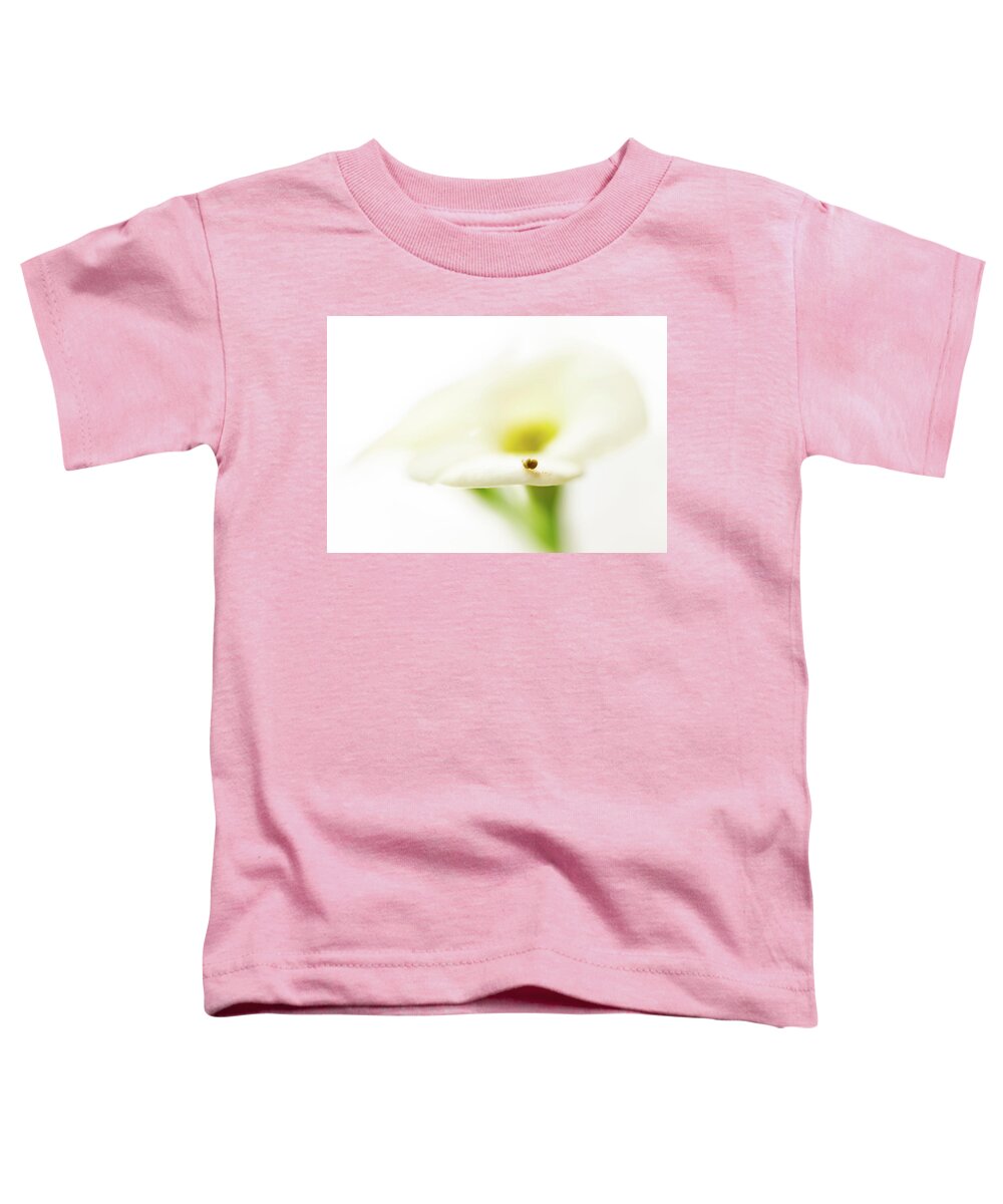 Outdoors Toddler T-Shirt featuring the photograph Mini Bug by Silvia Marcoschamer
