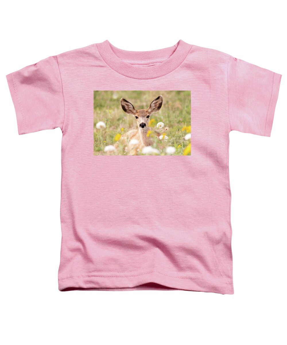 Deer Toddler T-Shirt featuring the photograph Mule Deer Fawn Lying in Wildflowers by Tony Hake