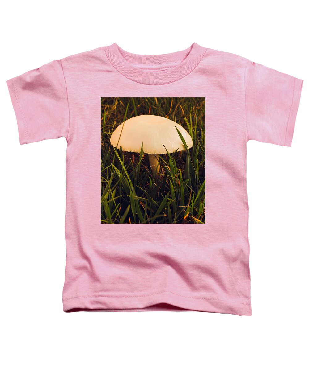 Mushroom Toddler T-Shirt featuring the photograph Mushroom 2 by Anamar Pictures