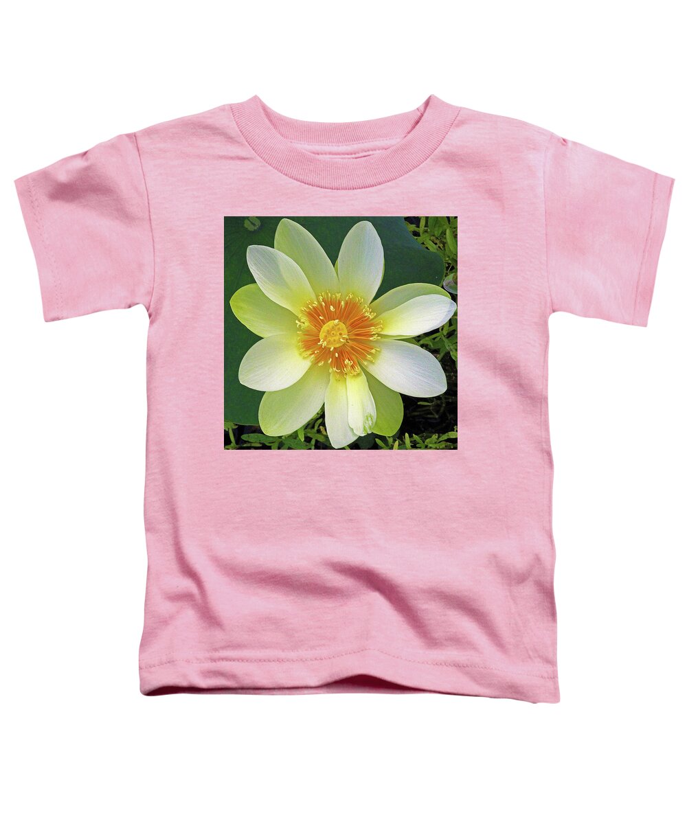 Lotus Toddler T-Shirt featuring the photograph Open Wide by Michael Allard