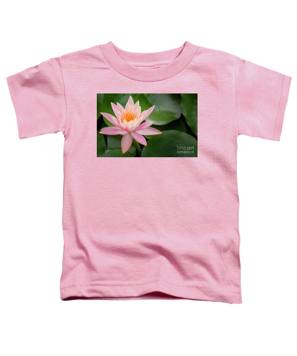 Bloom Toddler T-Shirt featuring the photograph Pink Water Lily by Debra Fedchin
