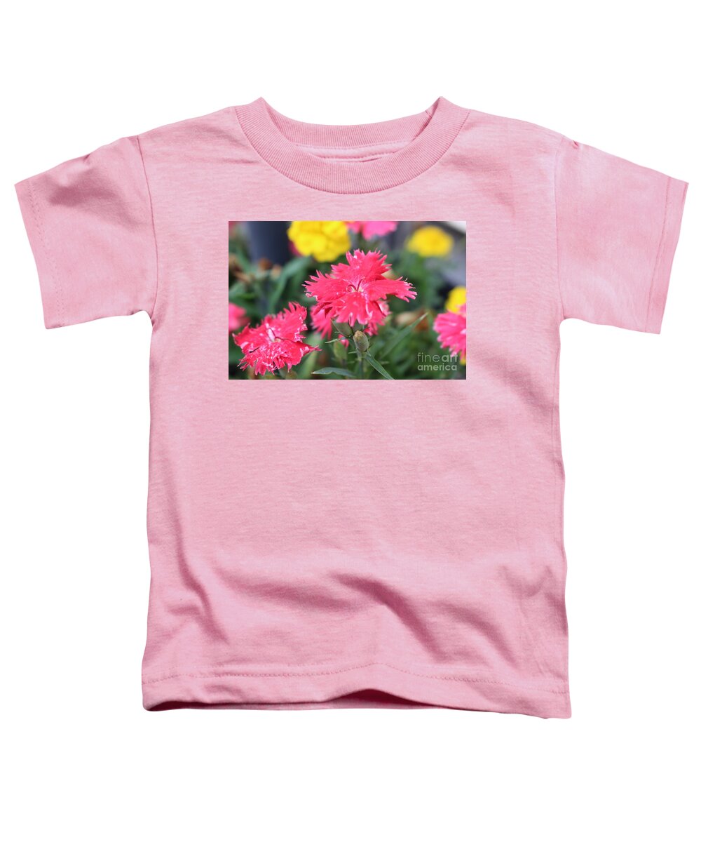 Pretty In Pink Toddler T-Shirt featuring the photograph Pretty In Pink by Barbra Telfer