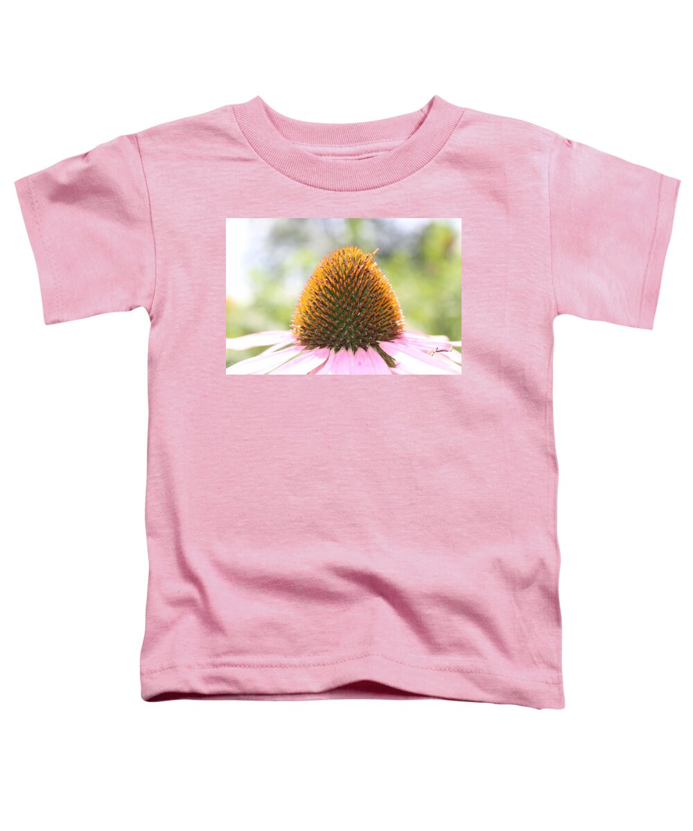 Purple Toddler T-Shirt featuring the photograph Purple Coneflower Seeds by Christopher Lotito