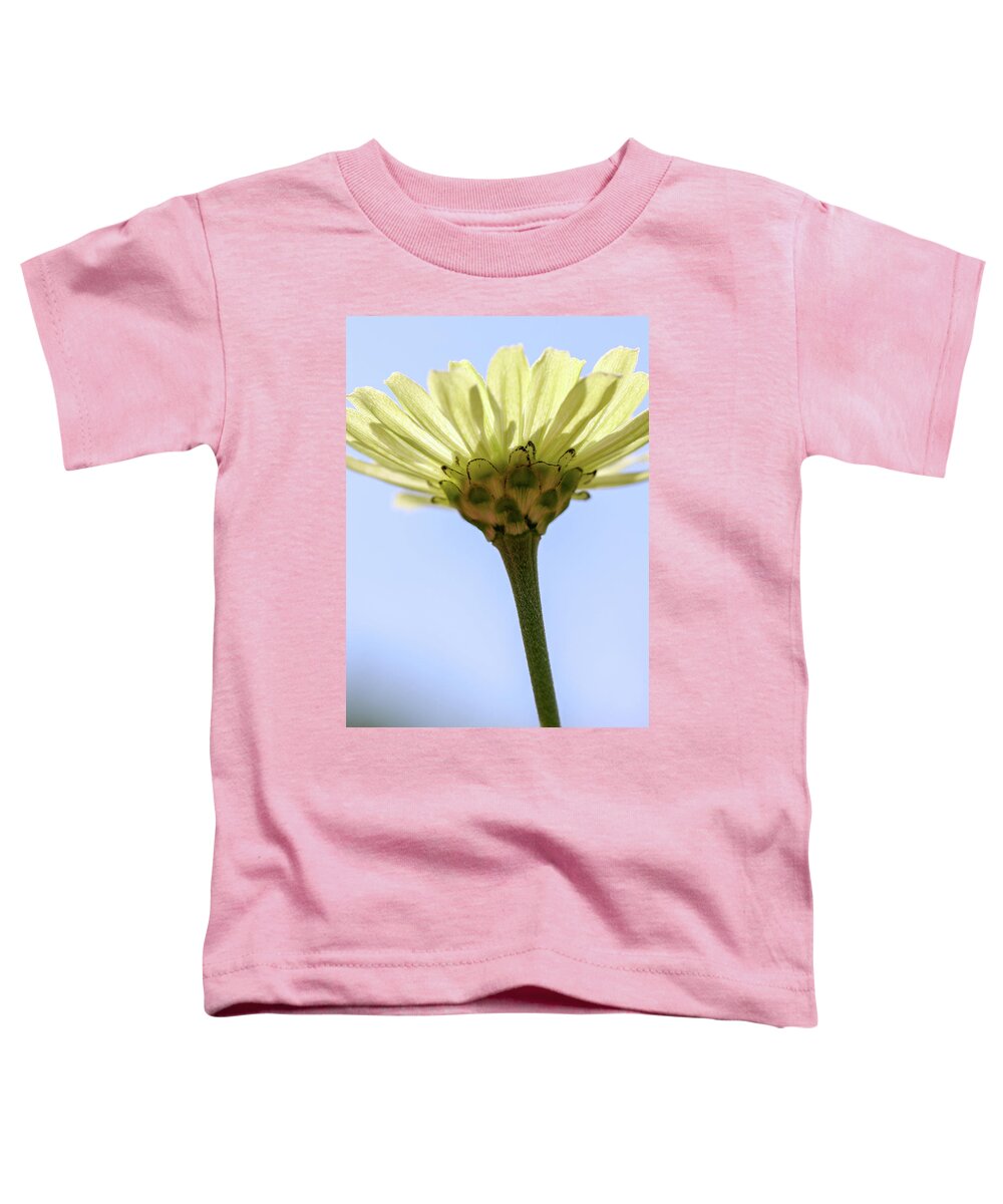 Flower Toddler T-Shirt featuring the photograph Rise Up by Mary Anne Delgado