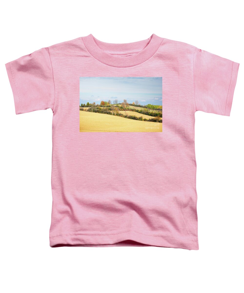 Fields Toddler T-Shirt featuring the photograph Rolling Hills In Fall by Les Palenik