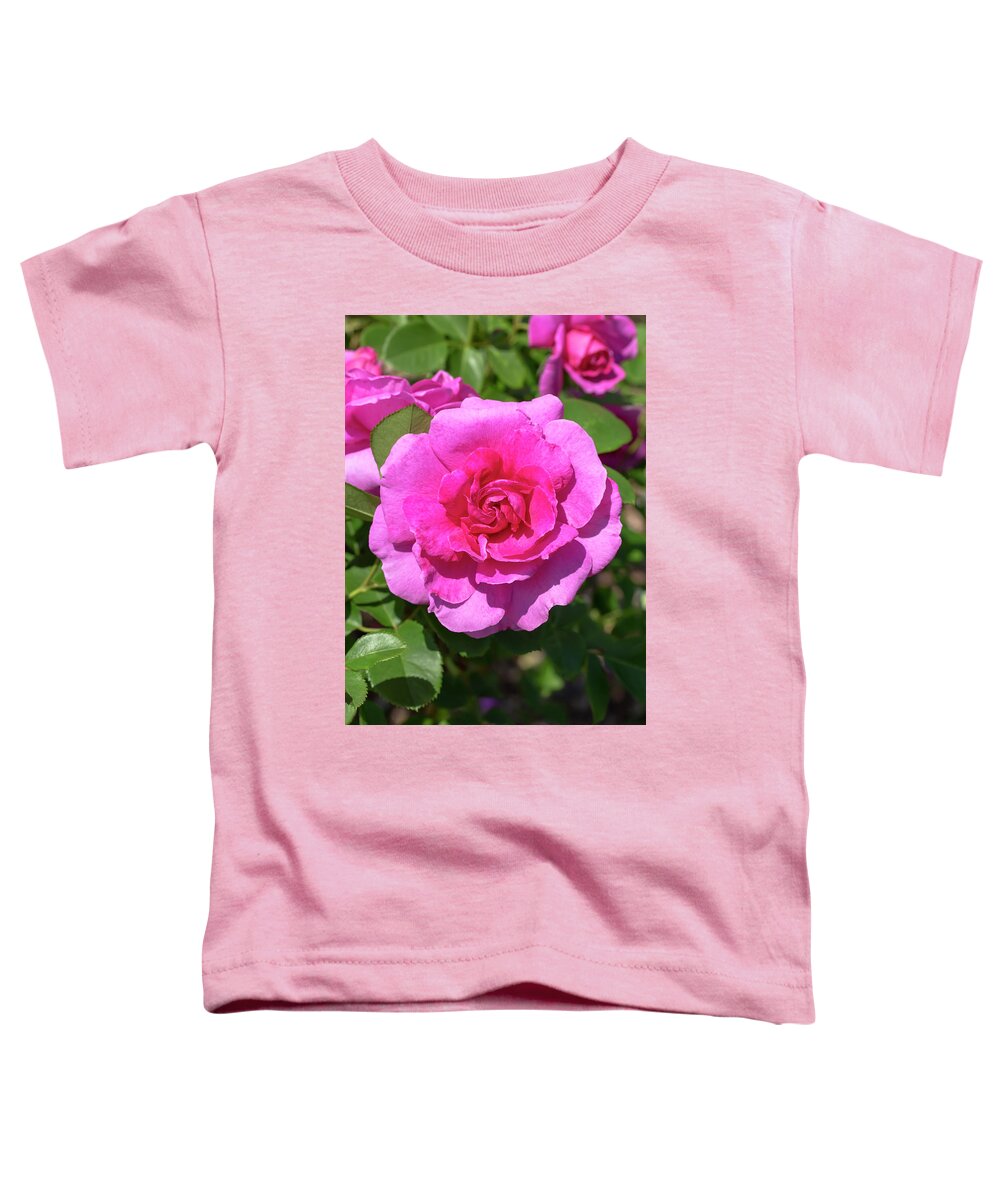 Rose Toddler T-Shirt featuring the photograph Rosa Thomas Affleck by Dawn Cavalieri