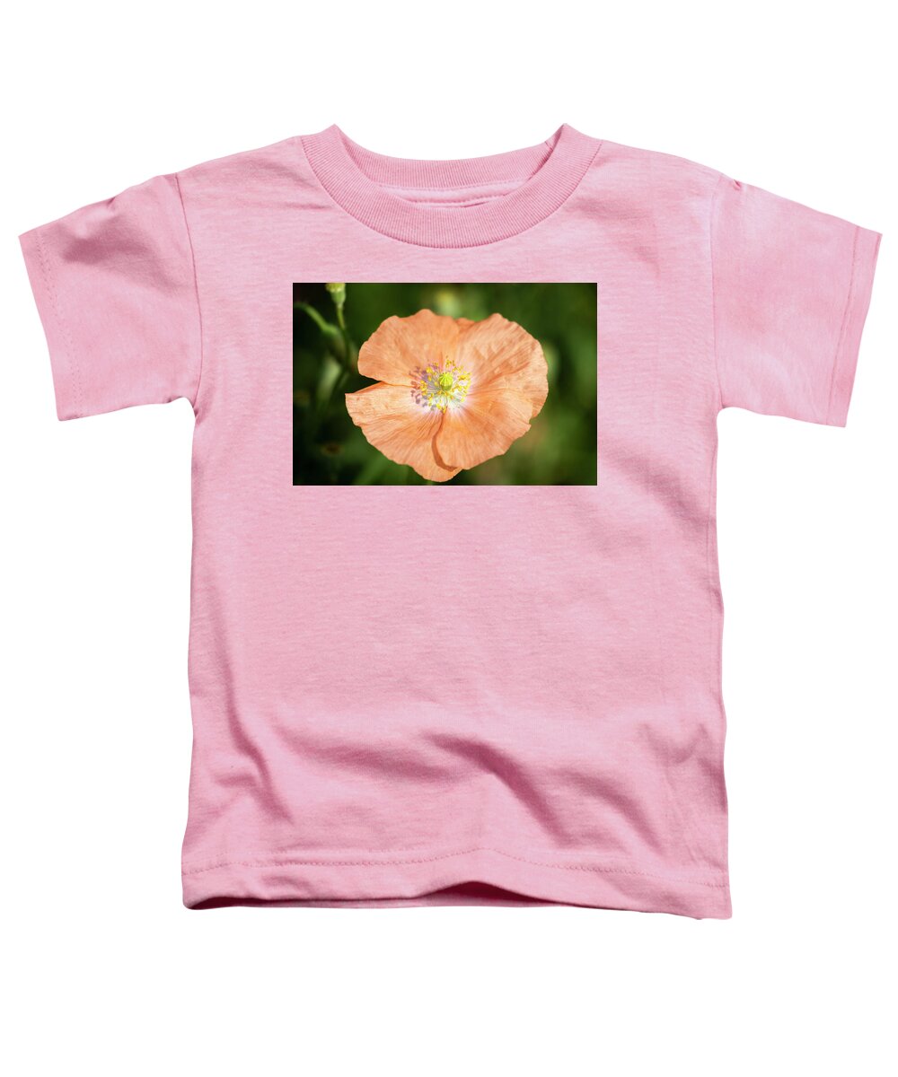 Shirley Poppy Toddler T-Shirt featuring the photograph Shirley Poppy 2018-17 by Thomas Young