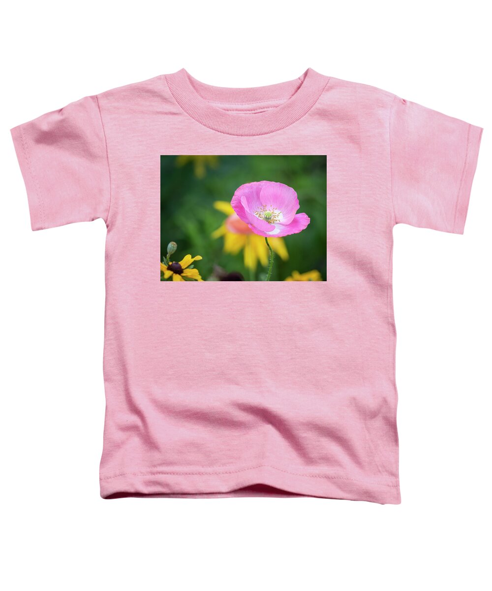 Shirley Poppy Toddler T-Shirt featuring the photograph Shirley Poppy 2019-6 by Thomas Young