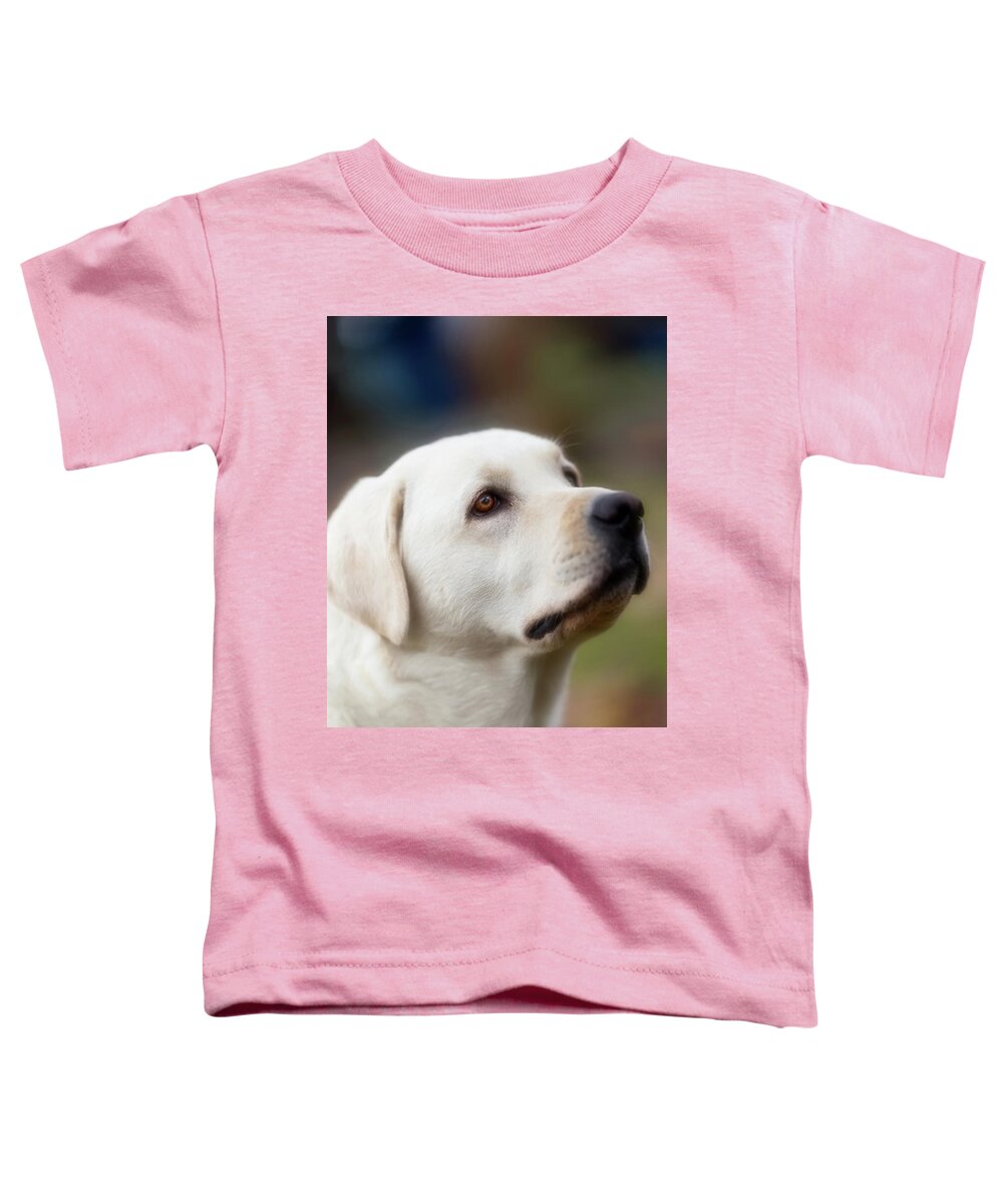 Lab Toddler T-Shirt featuring the photograph The Noble Lab by Stephen Anderson