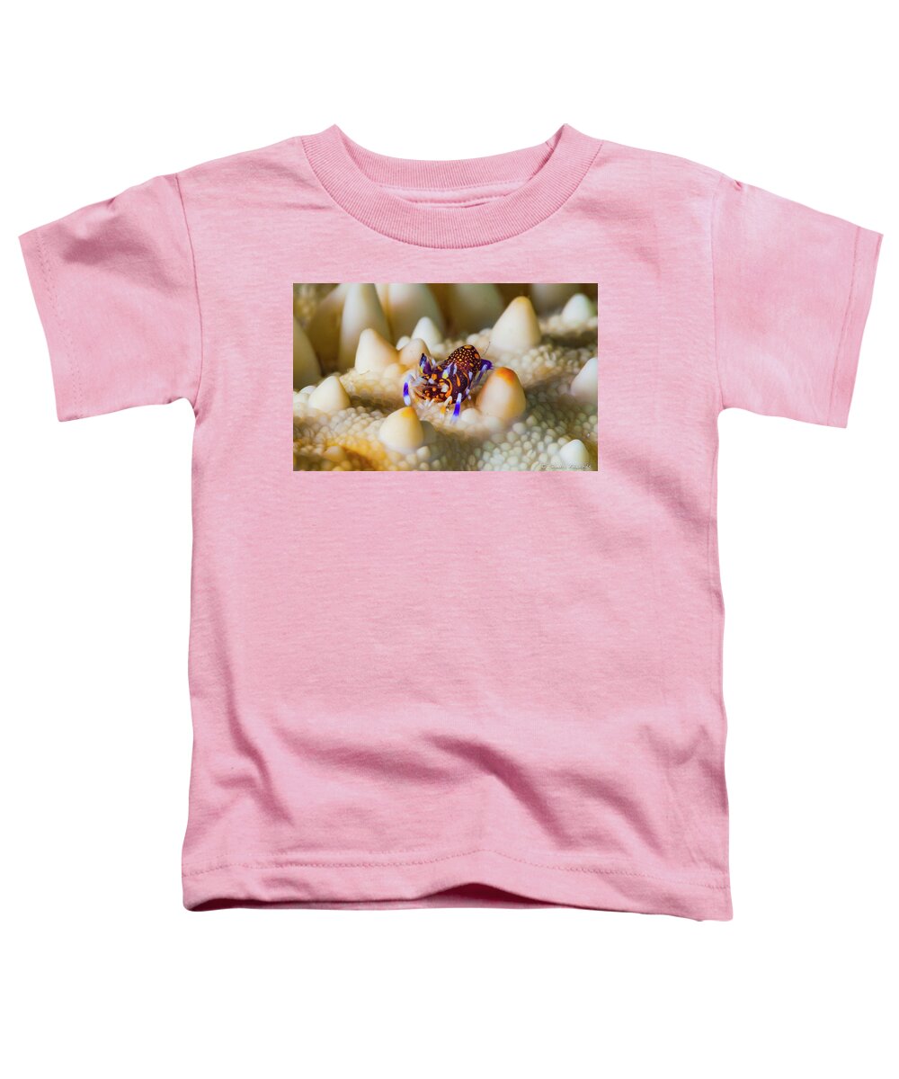 Bumblebee Toddler T-Shirt featuring the photograph Tiny Big World by Sandra Edwards