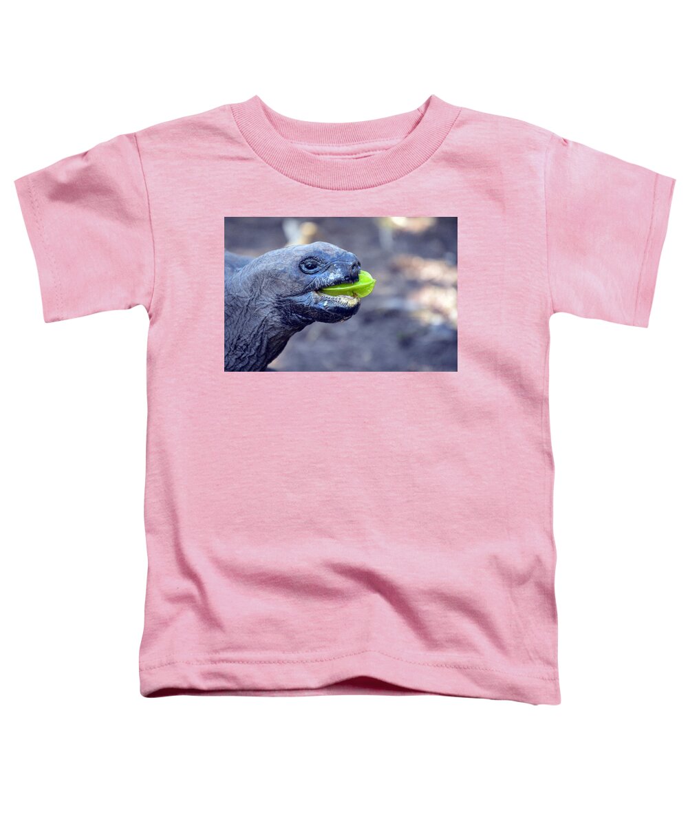 Turtle Toddler T-Shirt featuring the photograph Turtle by Thomas Schroeder