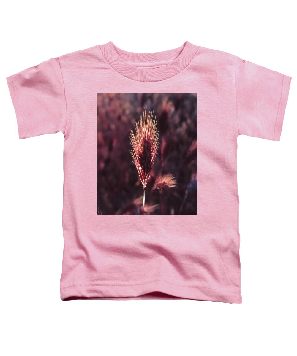  Toddler T-Shirt featuring the photograph Untitled by Randy Oberg