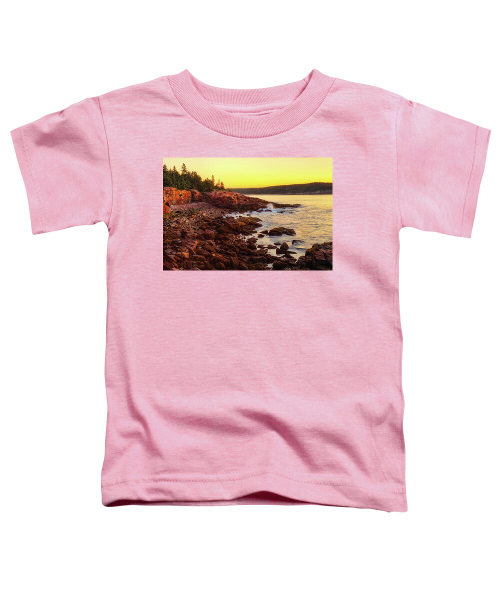 Acadia National Park Toddler T-Shirt featuring the photograph Acadia 2819 by Greg Hartford