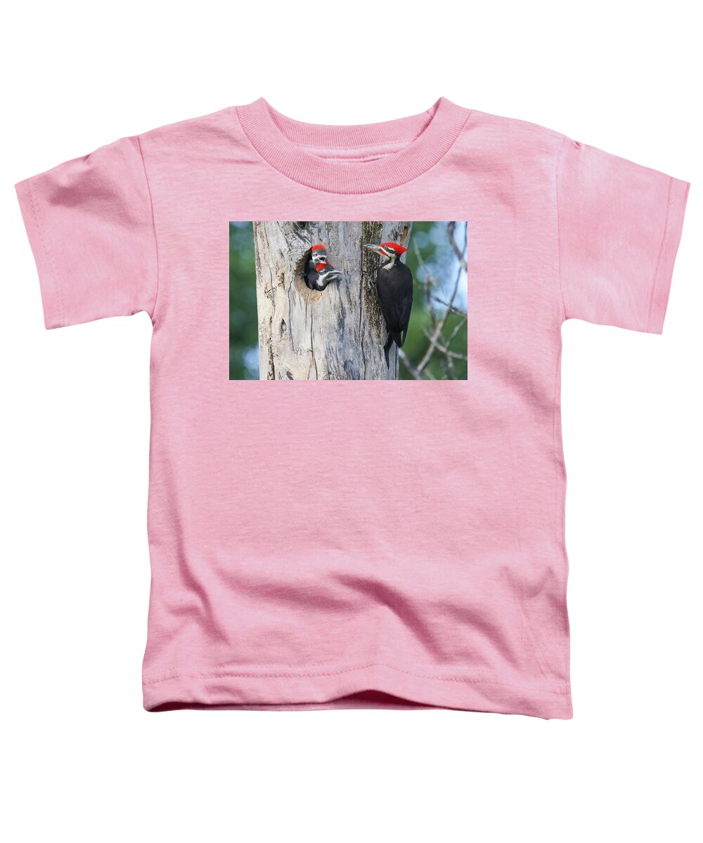 Pilieated Woodpecker Toddler T-Shirt featuring the photograph Pileated Woodpecker Family #5 by Brook Burling