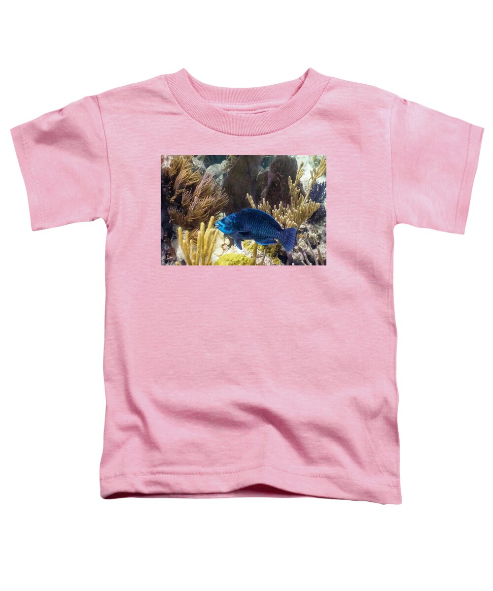 Animals Toddler T-Shirt featuring the photograph After Midnight by Lynne Browne