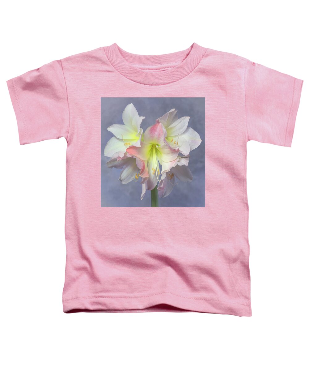 Amaryllis Toddler T-Shirt featuring the photograph An Amaryllis Bloom by Sylvia Goldkranz