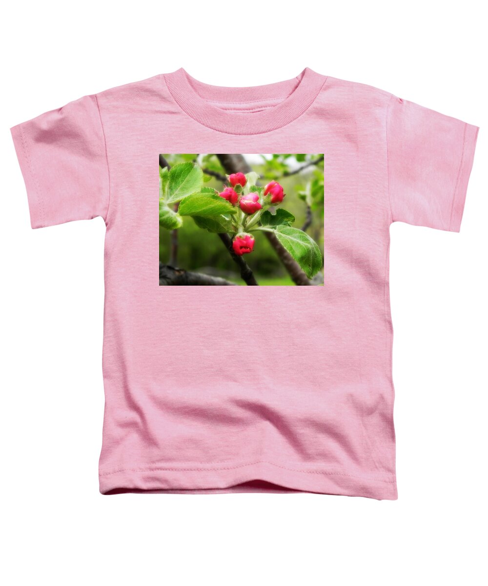 Apple Blossoms Toddler T-Shirt featuring the photograph Apple Blossoms by Amanda R Wright