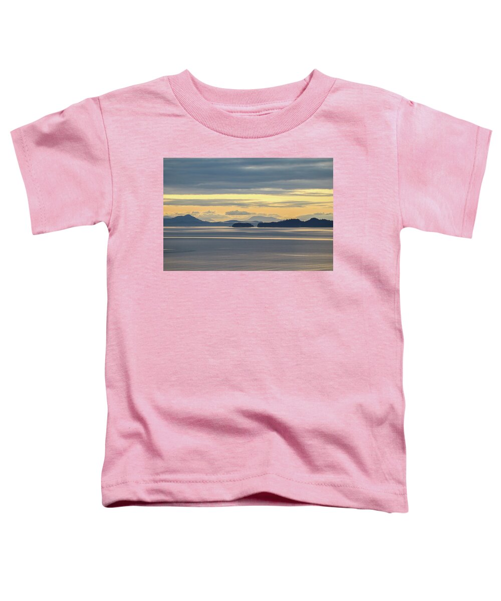 Alaska Toddler T-Shirt featuring the photograph Blues Alaska Blues by Ed Williams