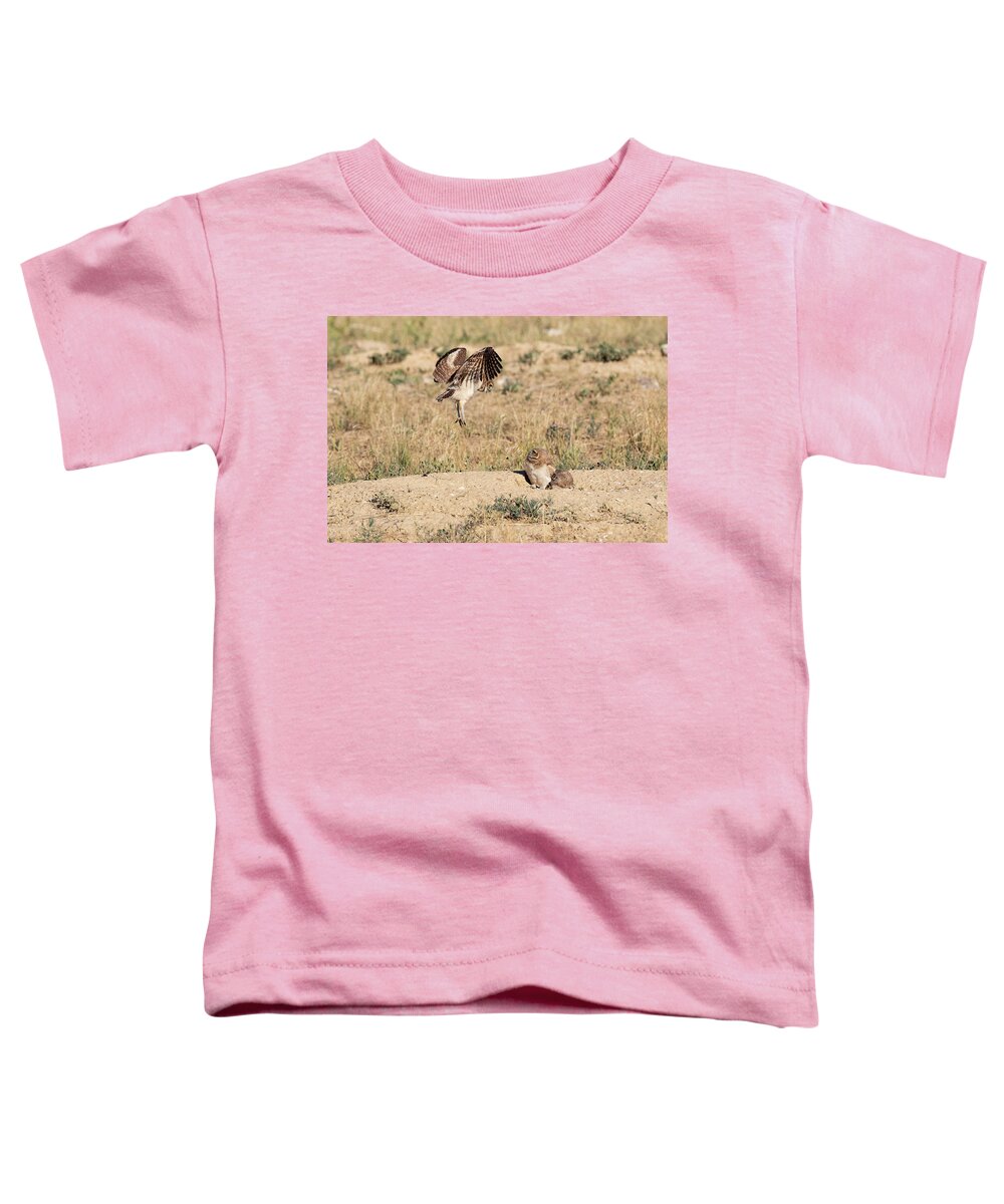 Owl Toddler T-Shirt featuring the photograph Burrowing Owl Owlet Tests its Wings by Tony Hake