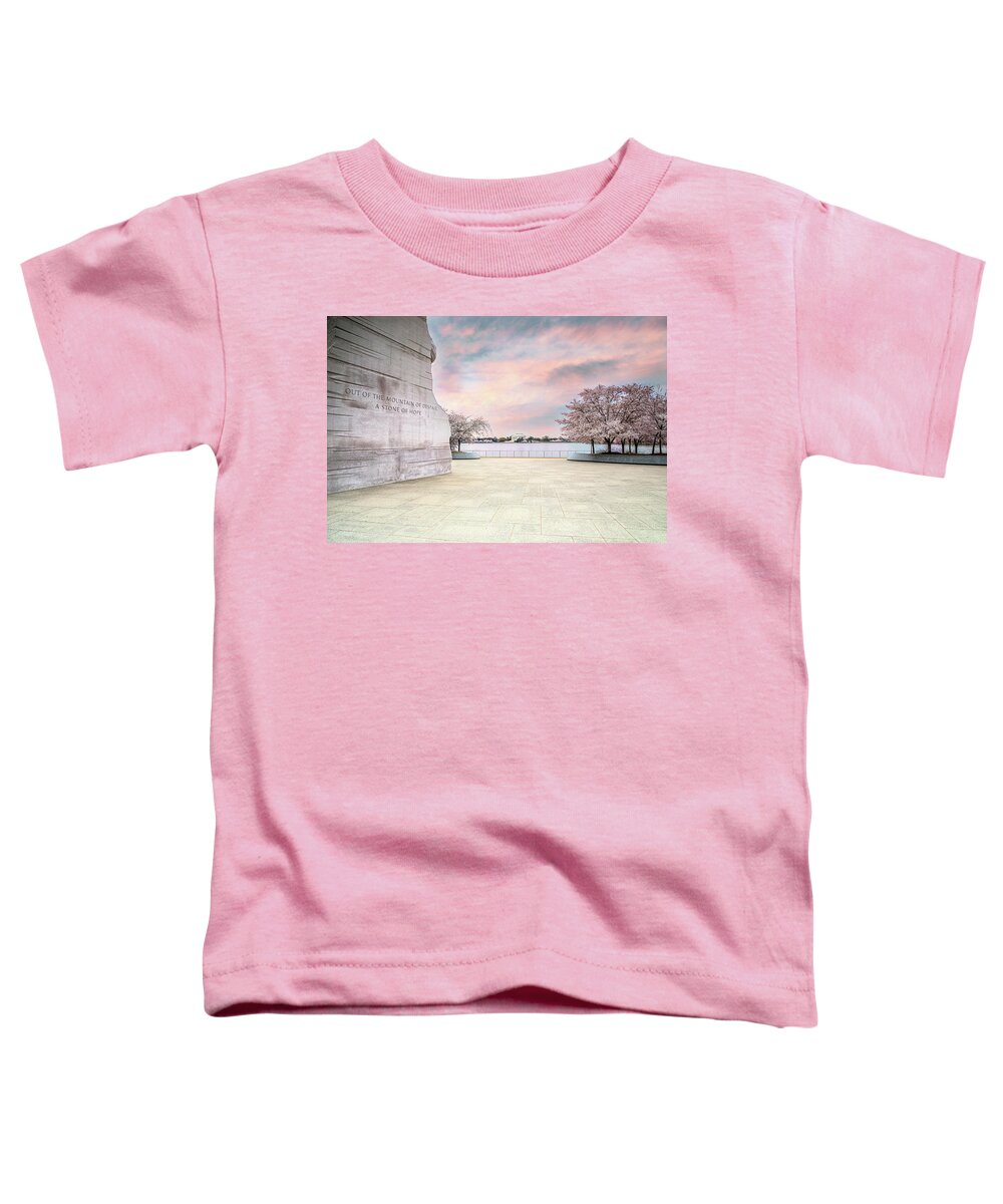 Cherry Blossoms Toddler T-Shirt featuring the photograph Cherry Evening by C Renee Martin