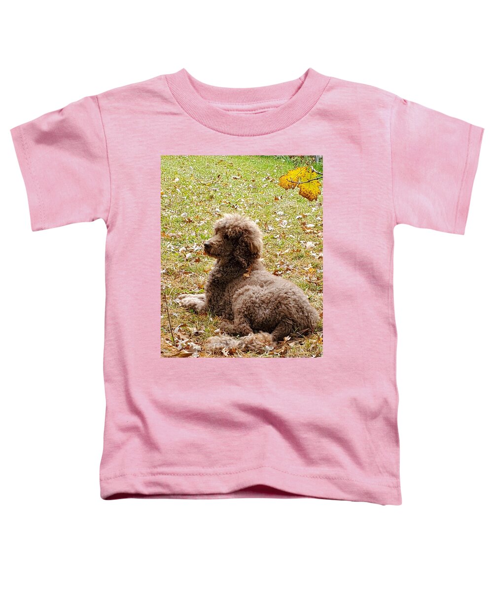 Standard Toddler T-Shirt featuring the photograph Chillaxing by Gigi Dequanne