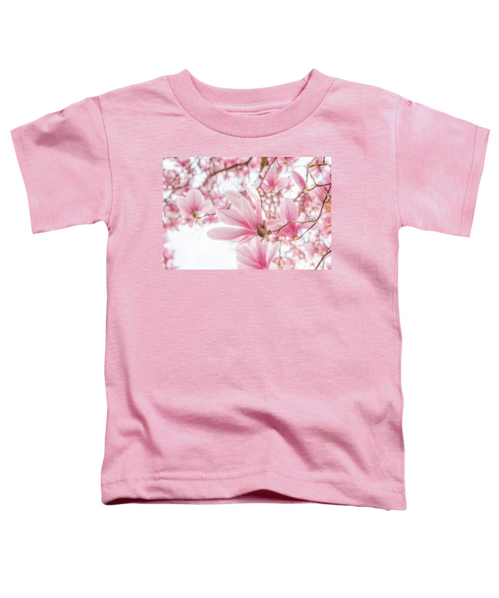 Magnolia Toddler T-Shirt featuring the photograph Close-up on Spring by Philippe Sainte-Laudy