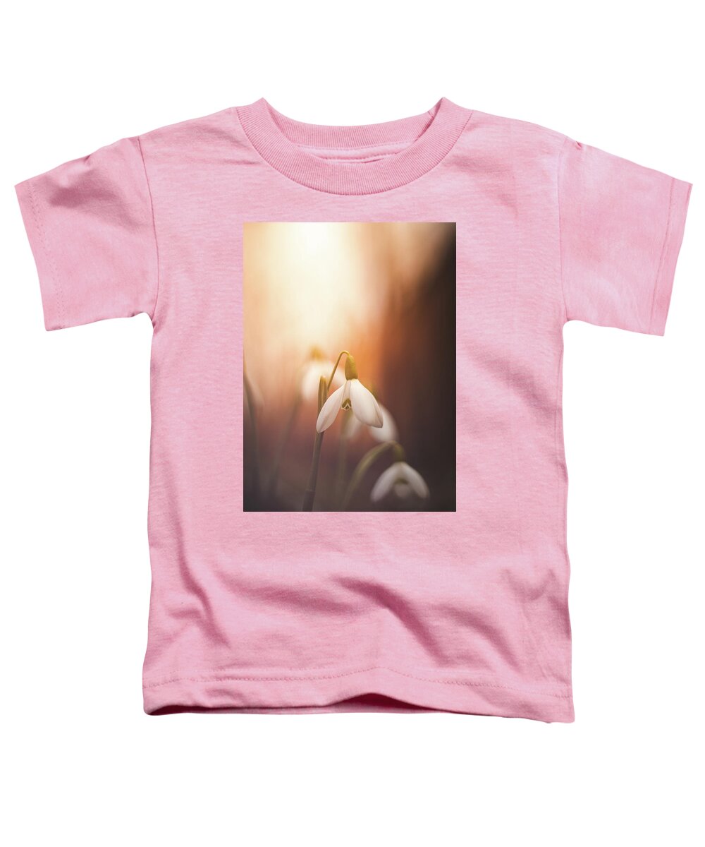 Europe Toddler T-Shirt featuring the photograph Common snowdrop at sunset. Magic flower sprouting from the soil by Vaclav Sonnek