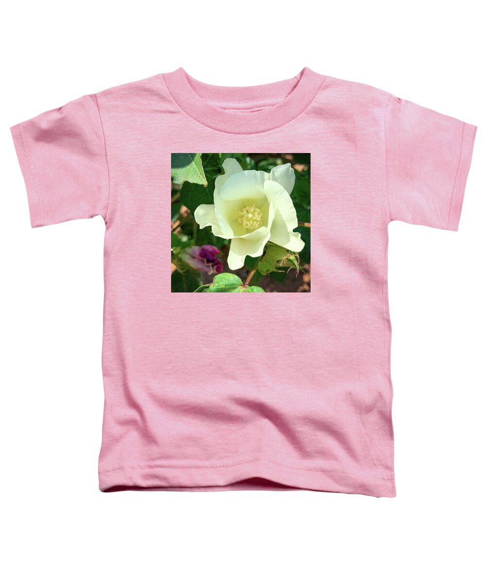 Cotton Toddler T-Shirt featuring the photograph Cotton Blossom by Rebecca Herranen