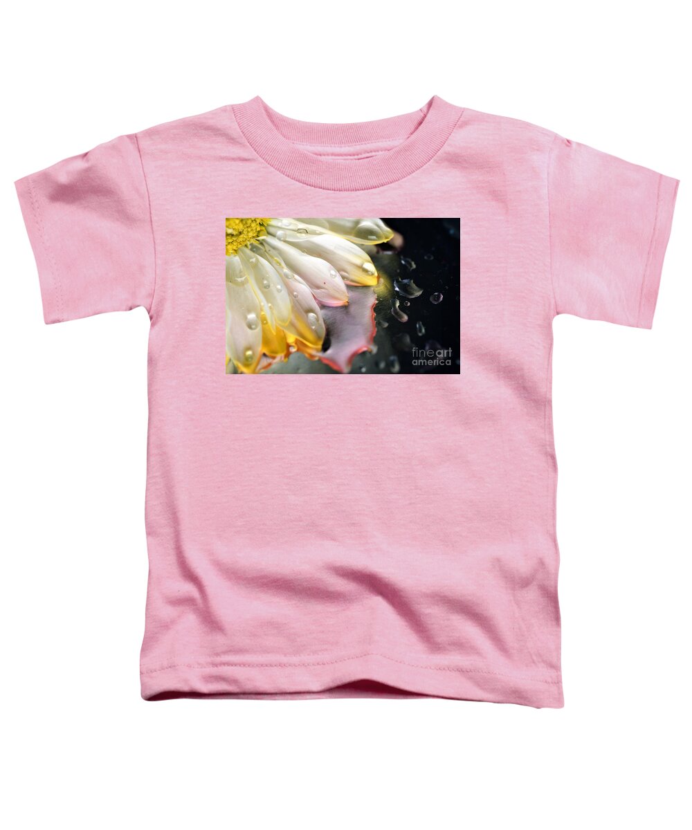 Macro Of A Daisy Toddler T-Shirt featuring the photograph Daisy Fresh by Dee Jobes Photography