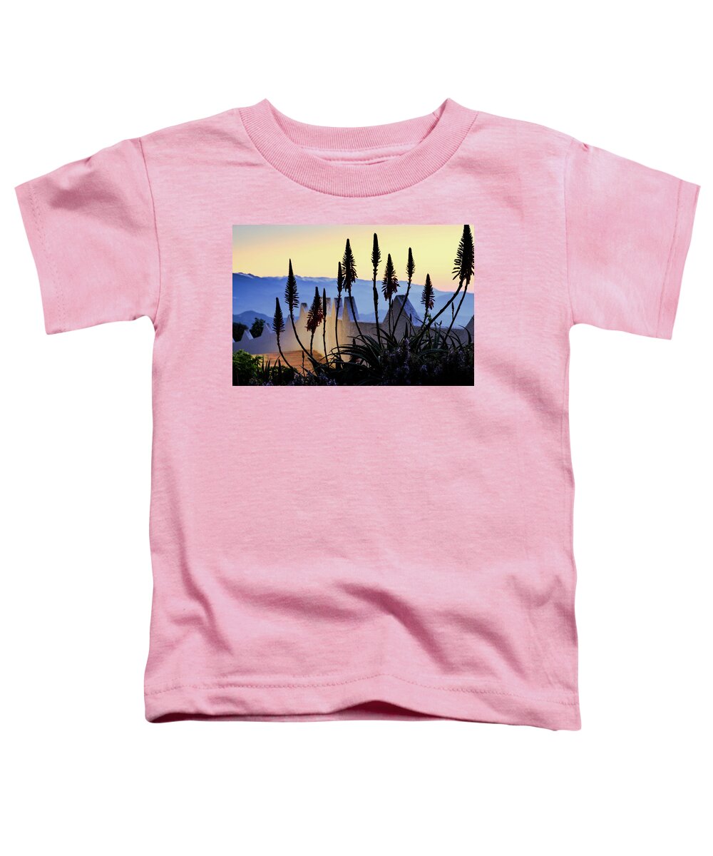 Flora And Fauna Toddler T-Shirt featuring the photograph Dawn in Pueblo by Gary Browne