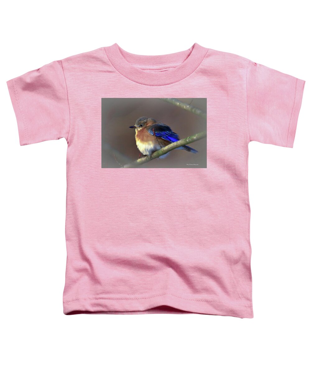 Bluebird Toddler T-Shirt featuring the photograph Eastern Bluebird by Mary Walchuck