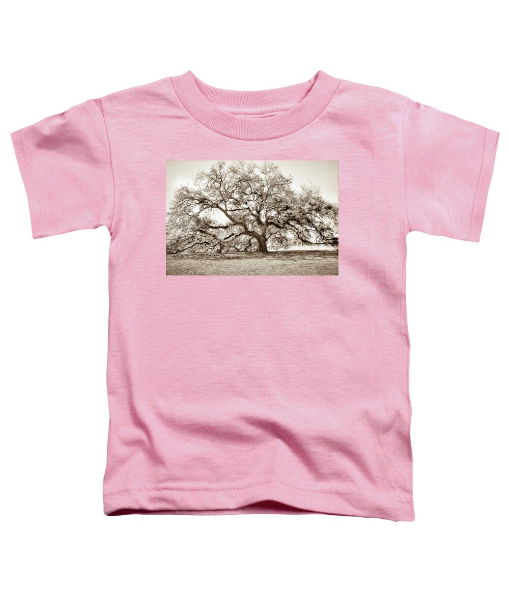 Emancipation Oak Toddler T-Shirt featuring the photograph Emancipation Tree at Hampton University -Sepia by Ola Allen