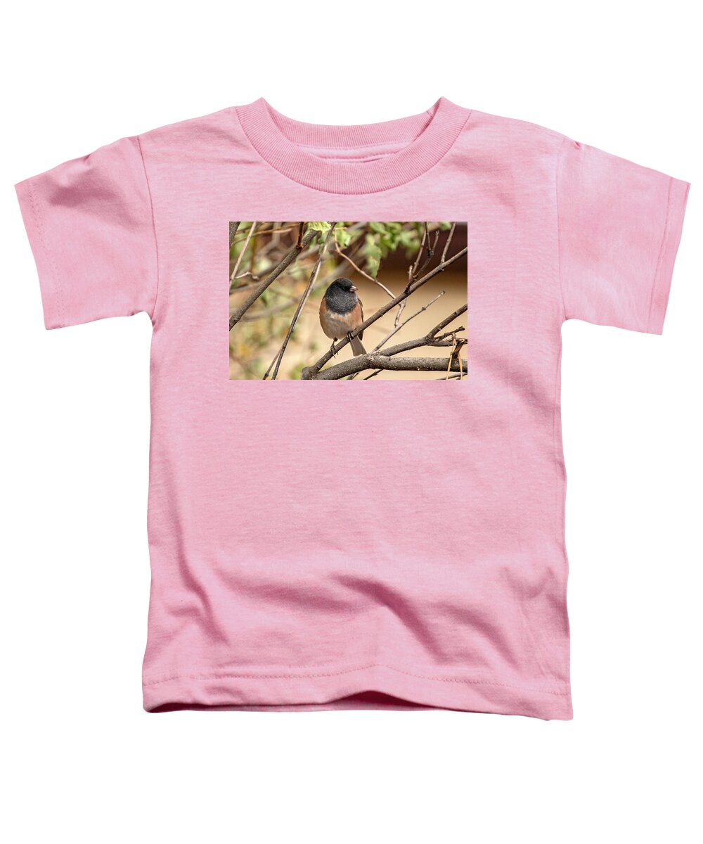 Bird Toddler T-Shirt featuring the photograph Flashy Little Sparrow by Laura Putman