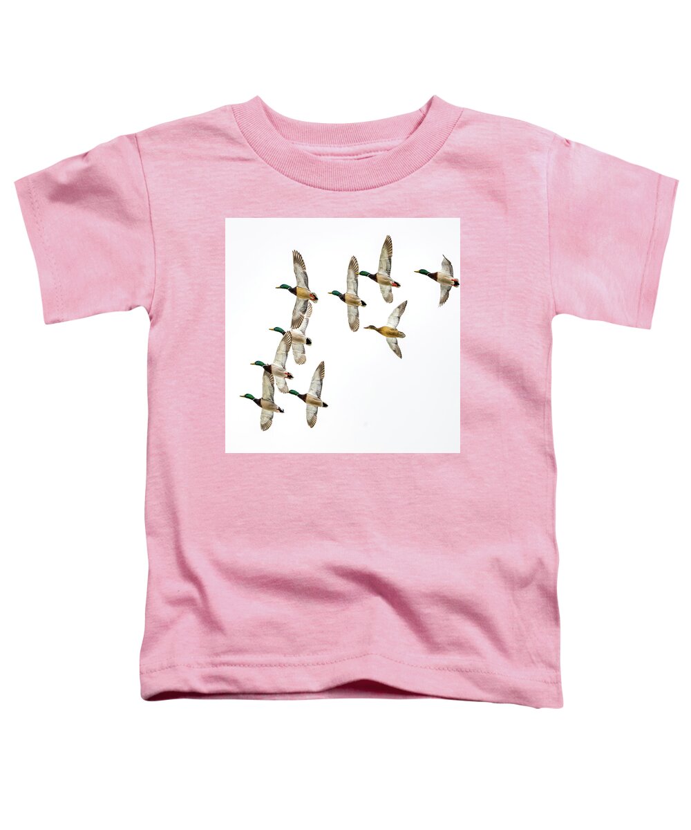 Wild Toddler T-Shirt featuring the photograph Flock Of Mallards by Paul Freidlund