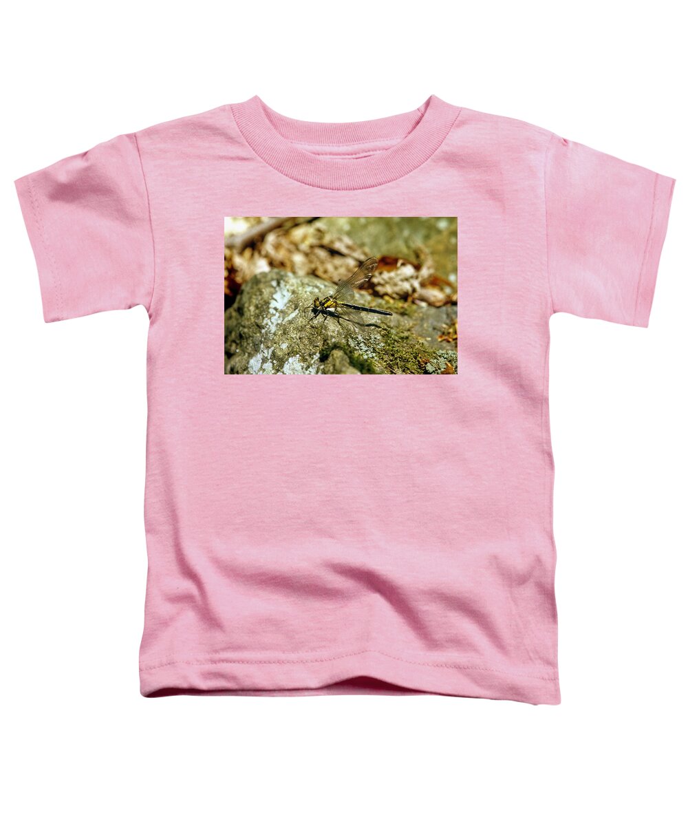 S_7ab3a5hkf032 Toddler T-Shirt featuring the photograph Golden Dragonfly on a moss and Lichen Covered Rock by Douglas Barnett