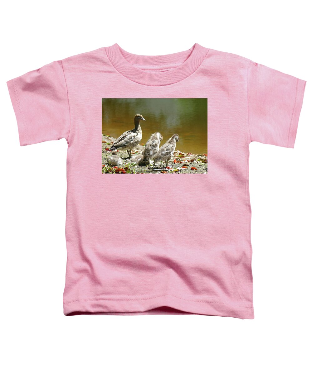 Ducks Toddler T-Shirt featuring the photograph Good Ducklings by Maryse Jansen