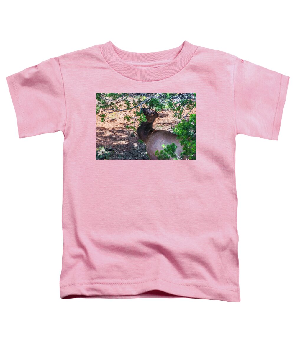 Grand Toddler T-Shirt featuring the photograph Grand Canyon Elk by Gordon Sarti
