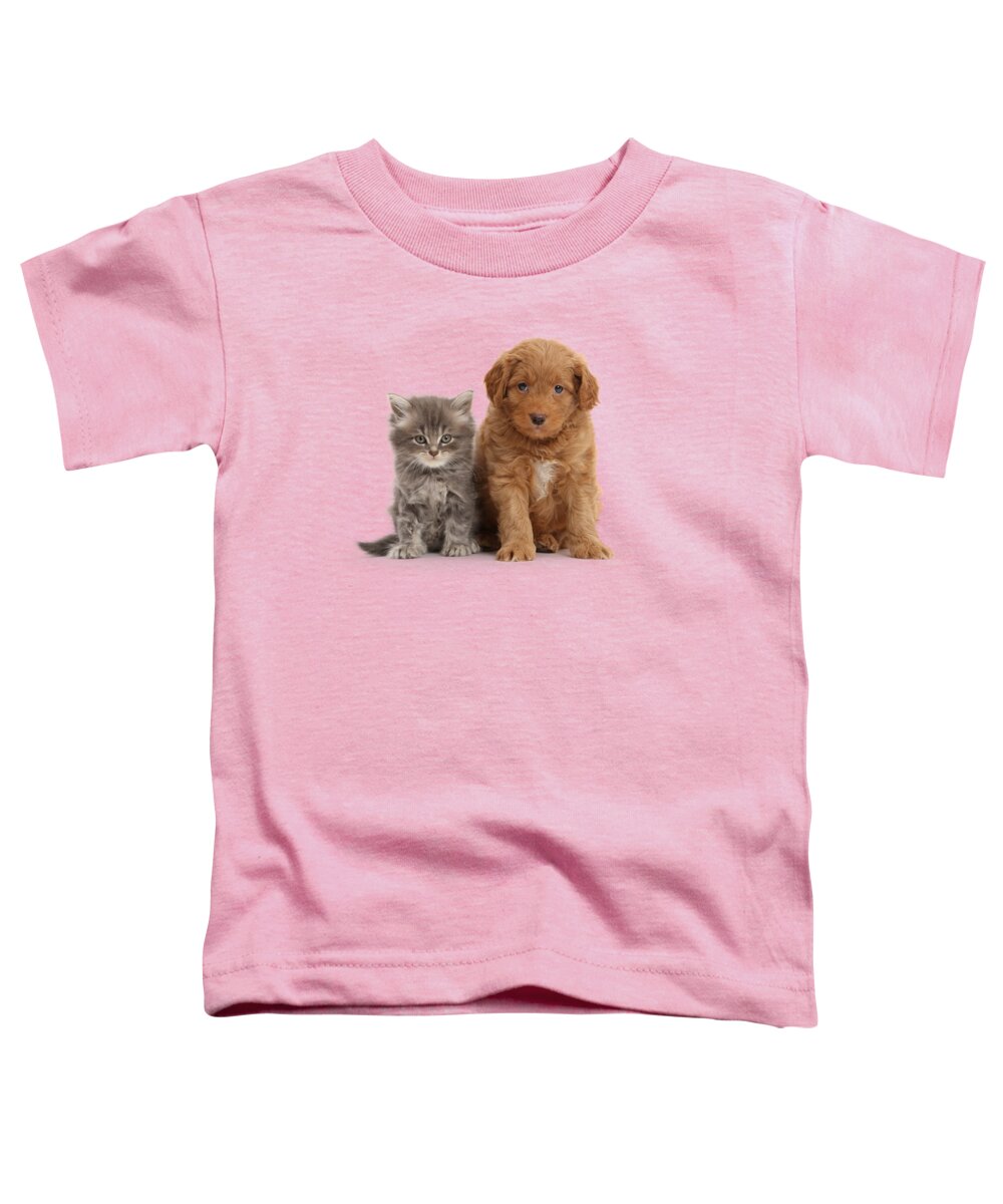 Kitten Toddler T-Shirt featuring the photograph Grumpy Friends by Warren Photographic