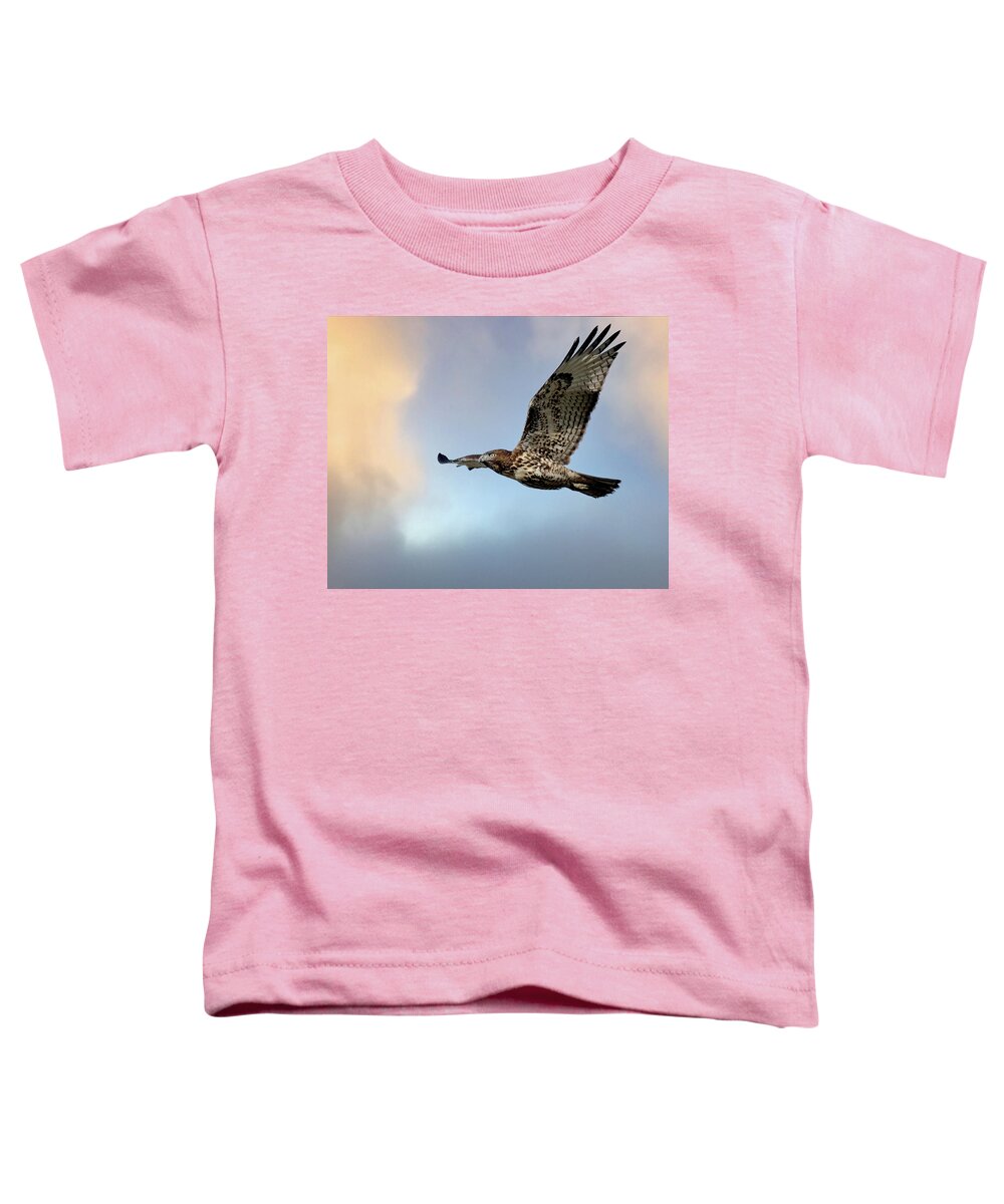 Hawk Toddler T-Shirt featuring the photograph Hawk in the Sky by Rebecca Cozart