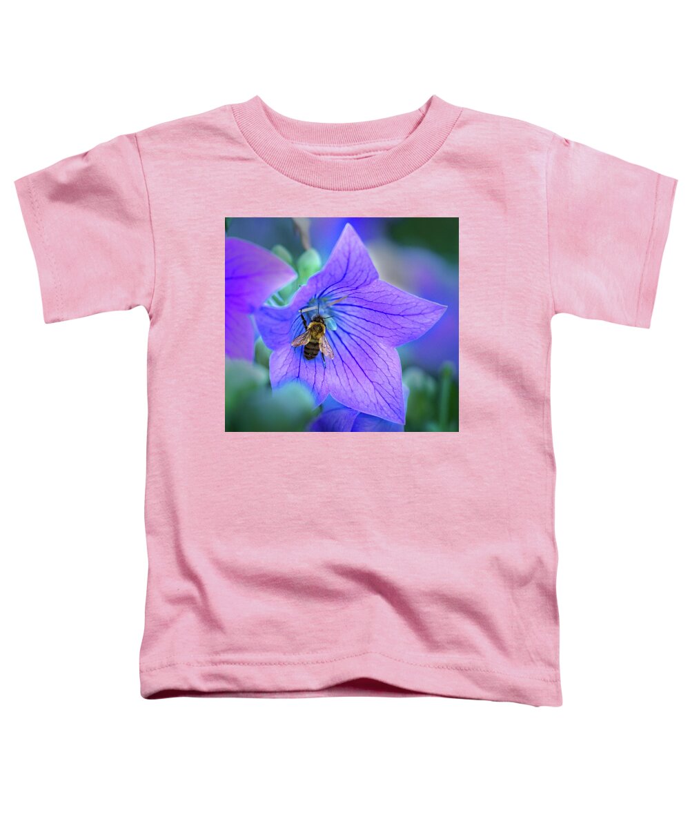 Pic Toddler T-Shirt featuring the photograph Honeybee #1 by Matthew Adelman