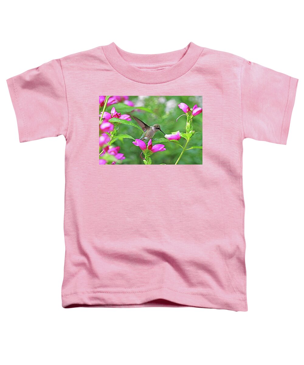 Hummingbird Toddler T-Shirt featuring the photograph Hummingbird Landing On Dewy Leaf by Debbie Oppermann